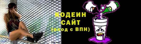 соль ск Абаза