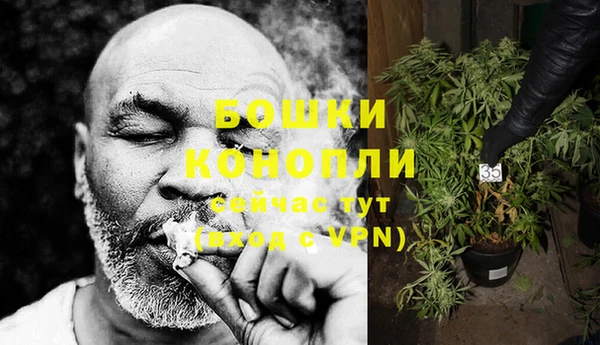 ПСИЛОЦИБИНОВЫЕ ГРИБЫ Переславль-Залесский