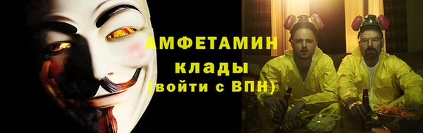 крисы Пестово