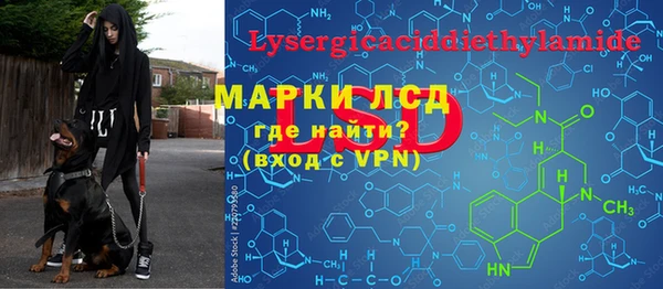 PSILOCYBIN Пересвет