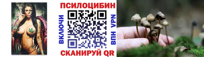 Псилоцибиновые грибы мицелий  как найти наркотики  Новое Девяткино 